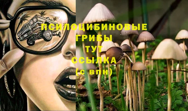 MDMA Premium VHQ Богородицк