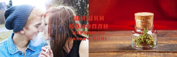 гашиш Богданович