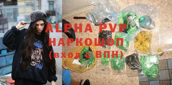 гашиш Богданович