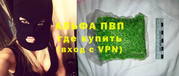 гашиш Богданович