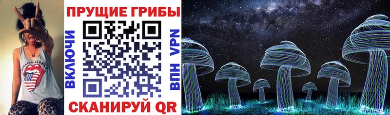 Галлюциногенные грибы Cubensis  Павловск 